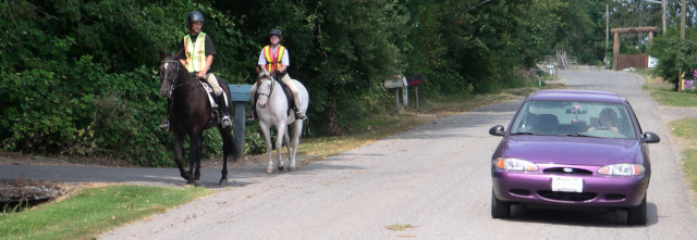 image of equestrians on the road