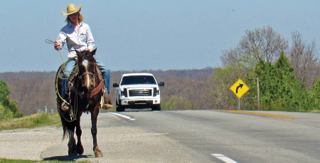 Sharing the road with horses