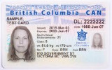 BC Drivers Licence