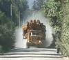 Logging Truck