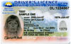 New BC Drivers License