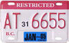 Restricted Plate