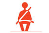 Seatbelt graphic