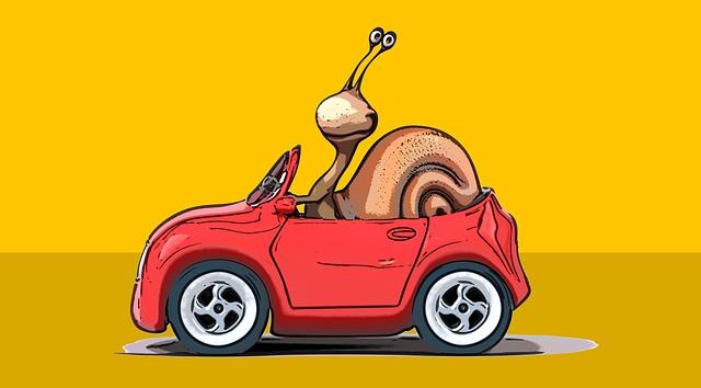 snail driving car slowing traffic