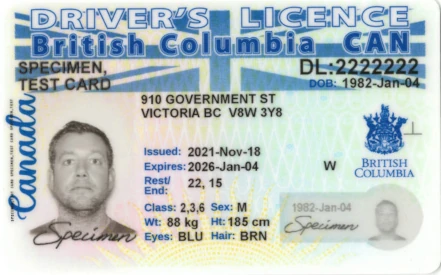 image of a bc driver's licence