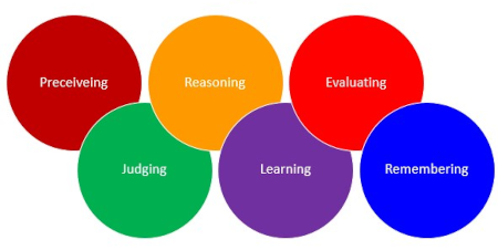 image of coloured circles showing components of cognitive testing