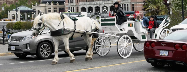image of horse drawn carriage on Victoria street