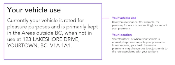 ICBC image of pleasure use only rating