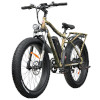 Image of a Motor Assisted Cycle or E-Bike
