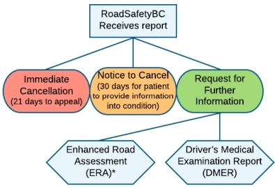 image of RoadSafetyBC driver fitness flowchart
