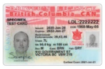BC Class 7 Driver's Licence image