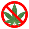 No Cannabis
