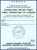 International Driving Permit